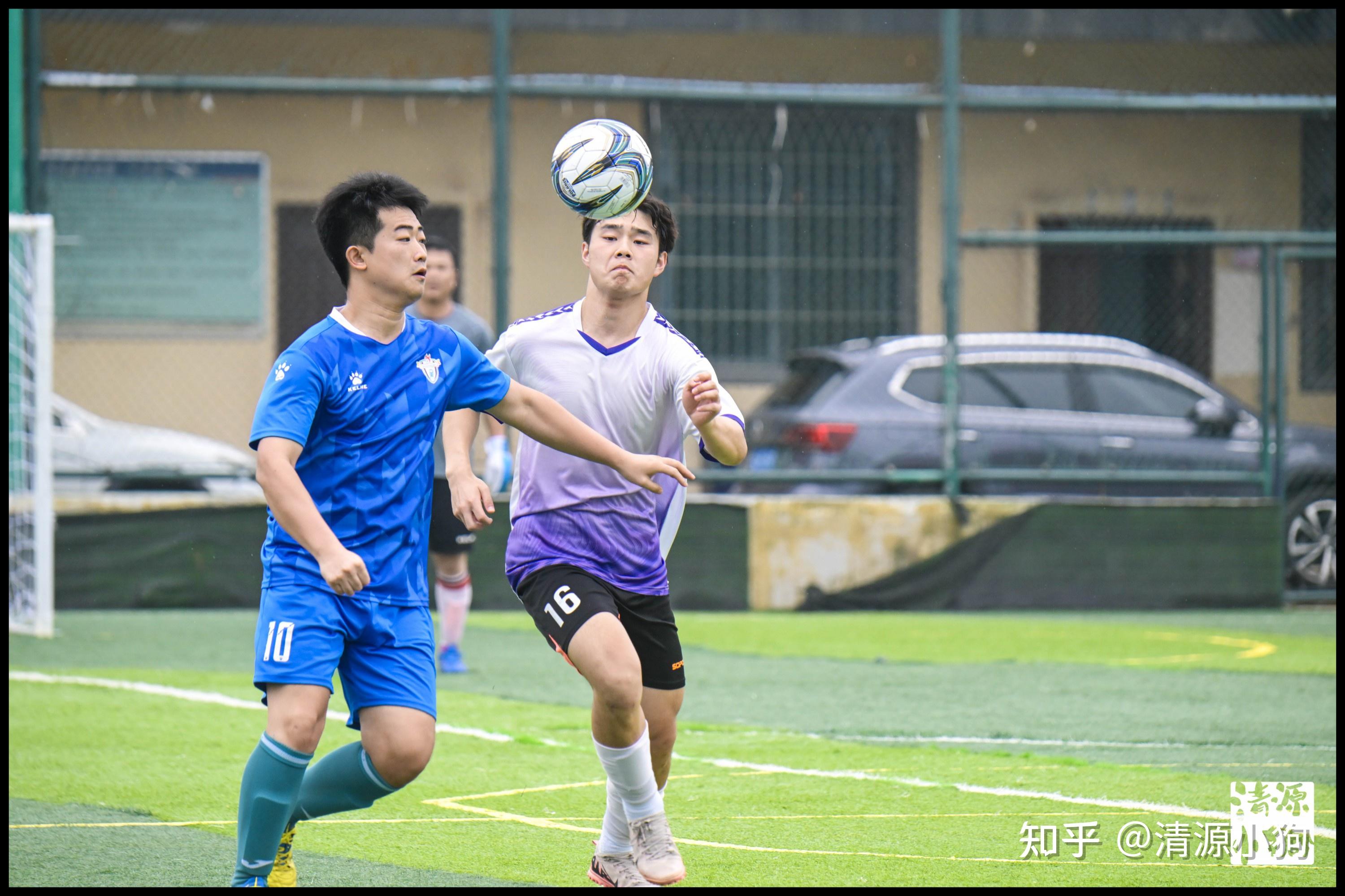 每年一次的 每年一次的