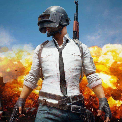 卫的特点 卫的特点