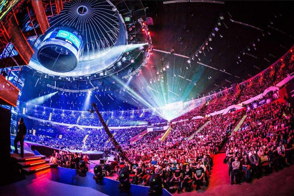 球迷的情绪 球迷的情绪